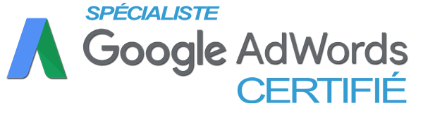 Spécialiste Google Adword certifié